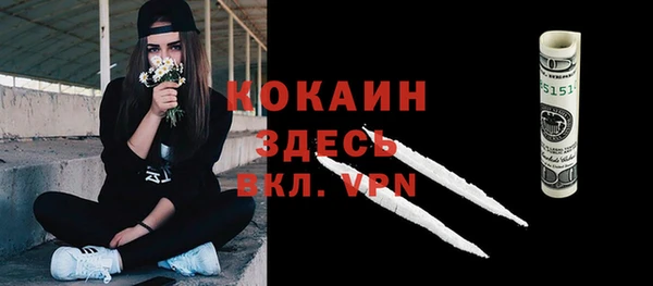 спиды Пересвет