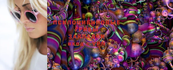 спиды Пересвет